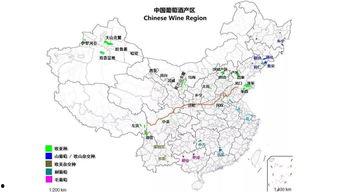 国产自产区,打造民族品牌新引擎 第2张 国产自产区,打造民族品牌新引擎 第2张